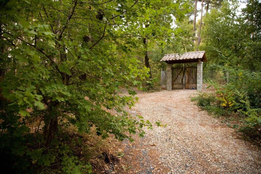 Villa Liz Tuscany, Private Pool, Hot Tub, Property Fenced, Pets Allowed Poppi Exterior foto