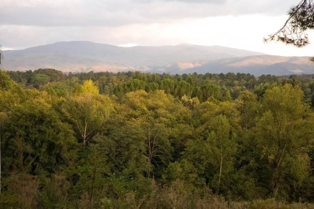 Villa Liz Tuscany, Private Pool, Hot Tub, Property Fenced, Pets Allowed Poppi Exterior foto